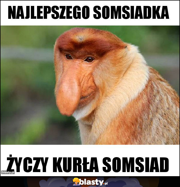 Najlepszego somsiadka