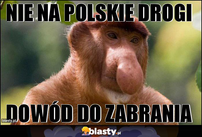 Nie na polskie drogi