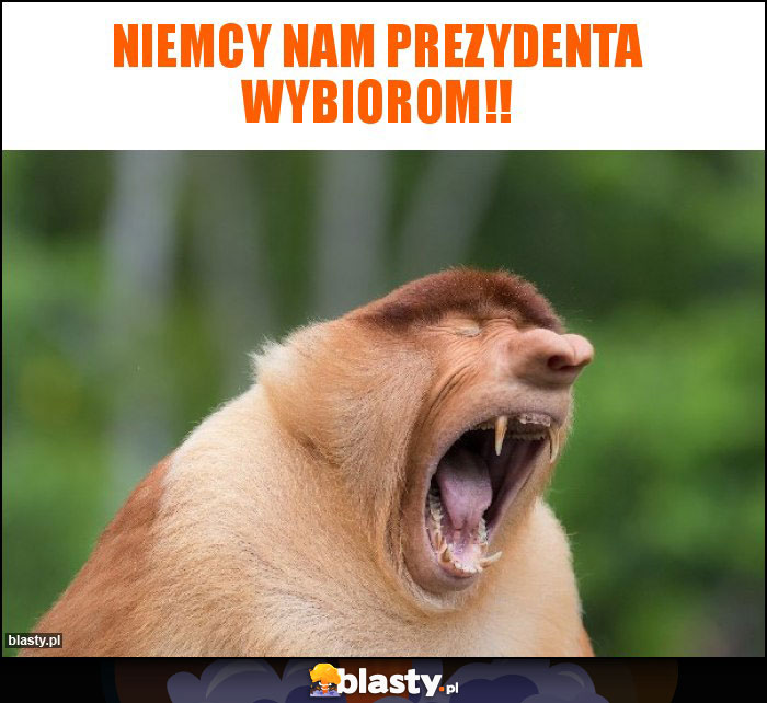 Niemcy nam prezydenta wybiorom!!