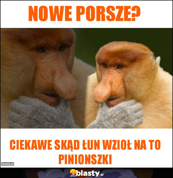 NOWE PORSZE?