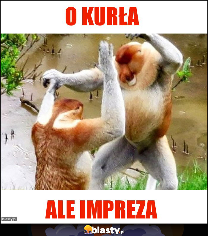 O kurła