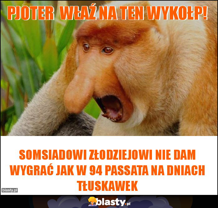 Pjoter  właź na ten wykołp!