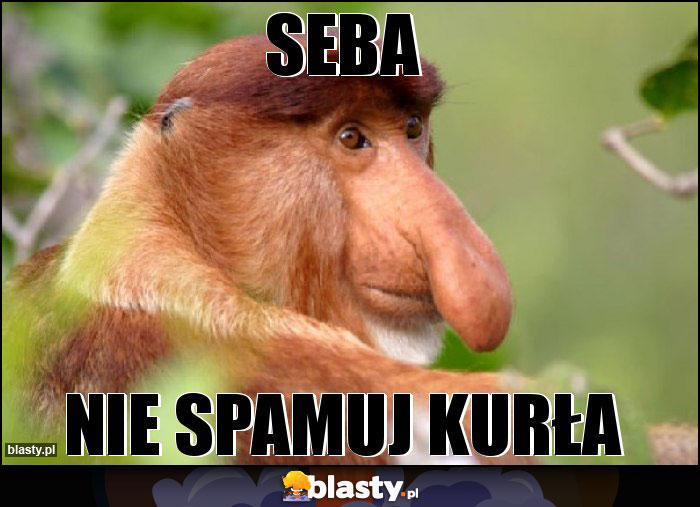 Seba