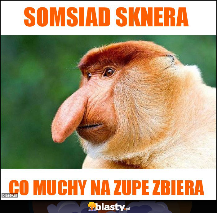 Somsiad sknera