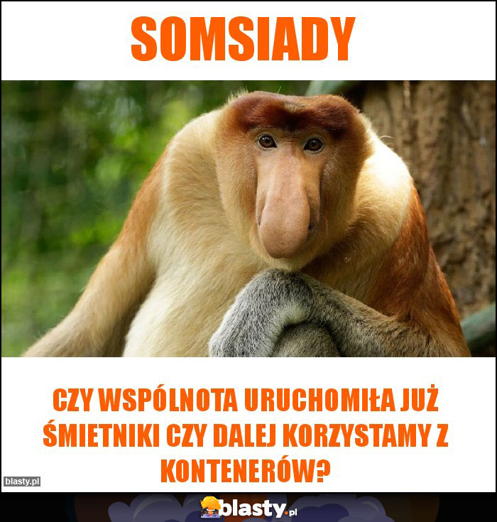 Somsiady