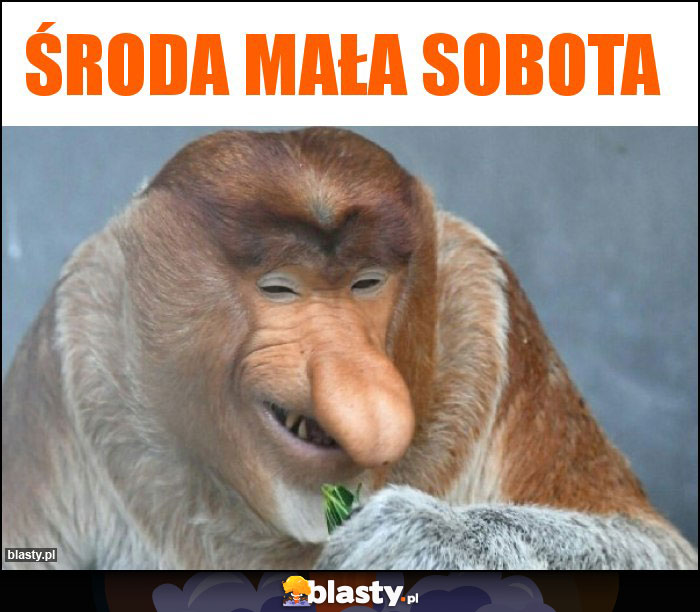 Środa mała sobota