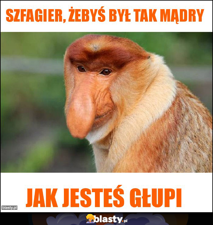 Szfagier, żebyś był tak mądry