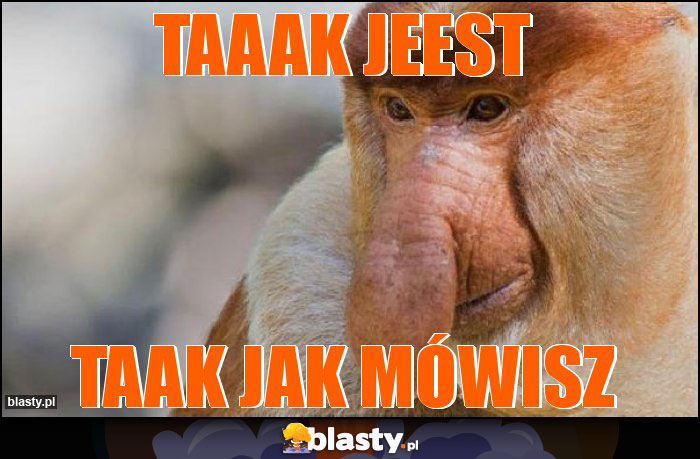 Taaak jeest