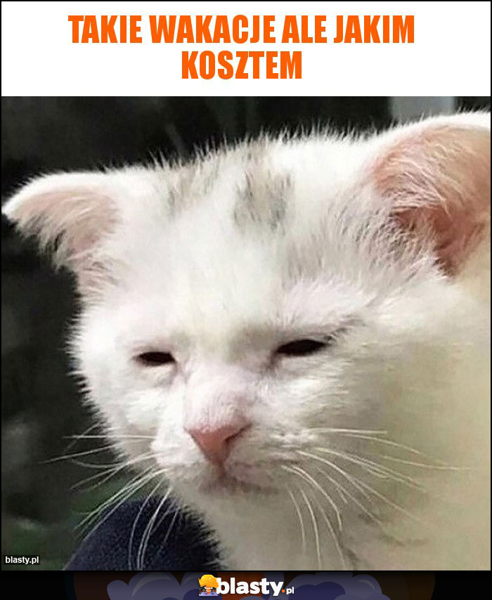 Takie wakacje ale jakim kosztem