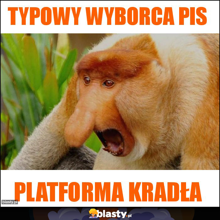 Typowy wyborca PIS