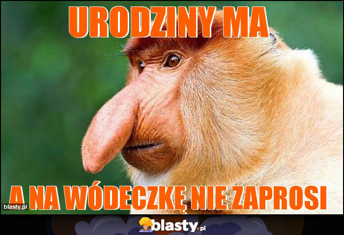 Urodziny ma