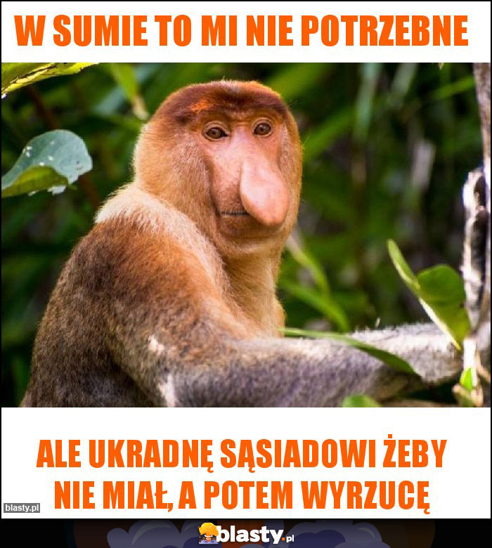 W sumie to mi nie potrzebne