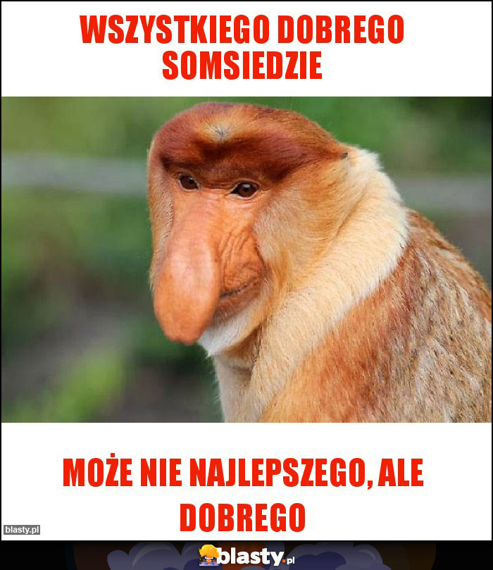 Wszystkiego Dobrego Somsiedzie