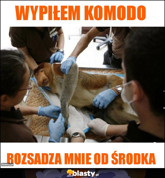 Wypiłem komodo