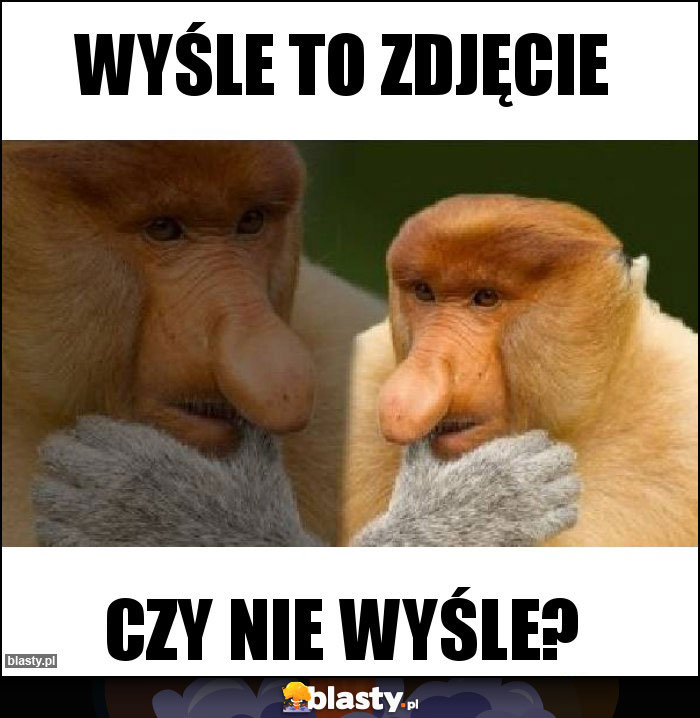 WYŚLE TO ZDJĘCIE