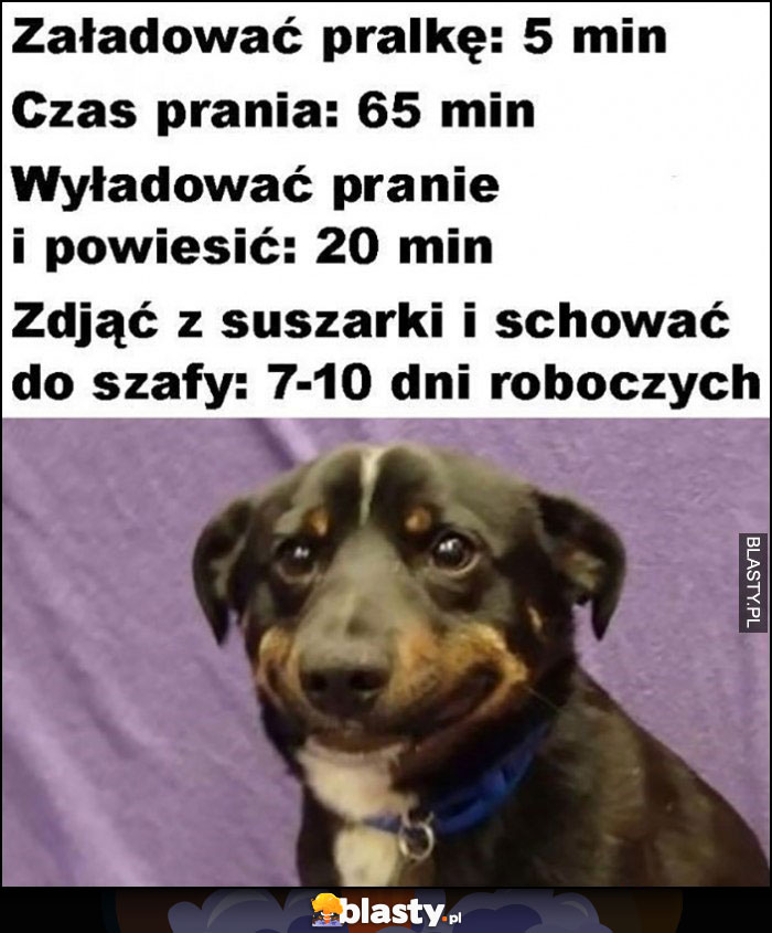 Załadować pralkę 5 min, czas prania 65 min, wyładować: 20 min, zdjąć z suszarki do szafy: 7-10 dni