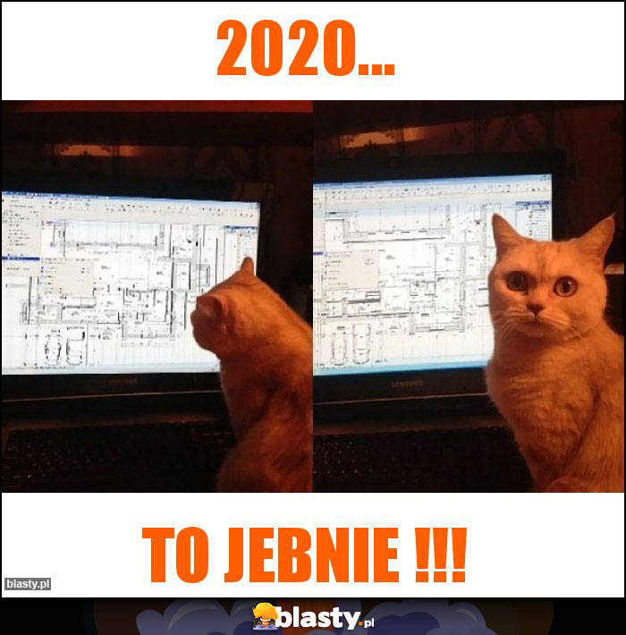 2020...