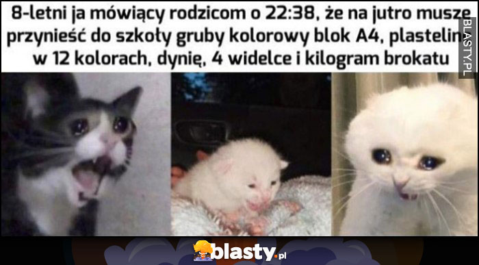 8-letni ja mówiący rodzicom o 22:38, że na jutro muszę przynieść do szkoły blok A4, plastelinę w 12 kolorach, dynię, 4 widelce i kilogram brokatu kot koty