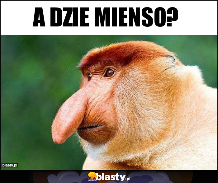 A dzie mienso?