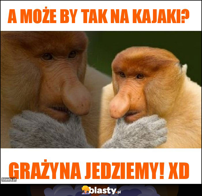 A może by tak na kajaki?