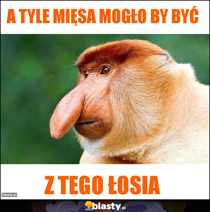 A tyle mięsa mogło by być