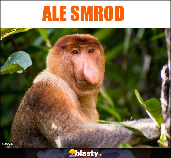 Ale smrod