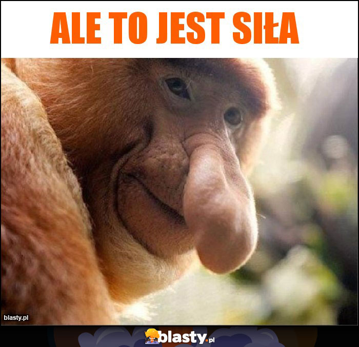 Ale to jest siła