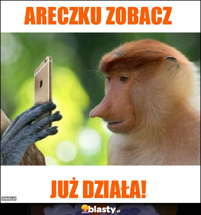 ARECZKU ZOBACZ