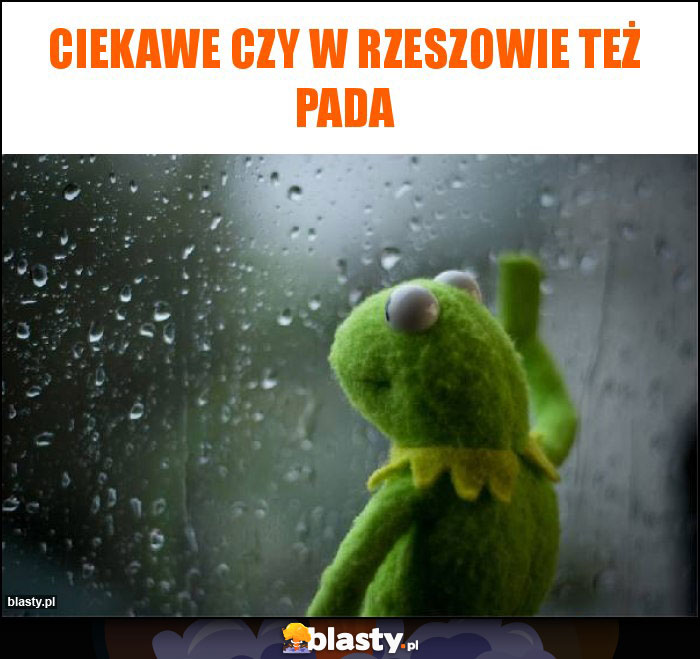 Ciekawe czy w Rzeszowie też pada