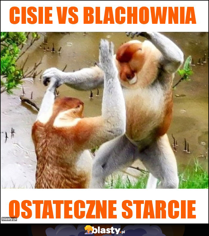 Cisie vs blachownia