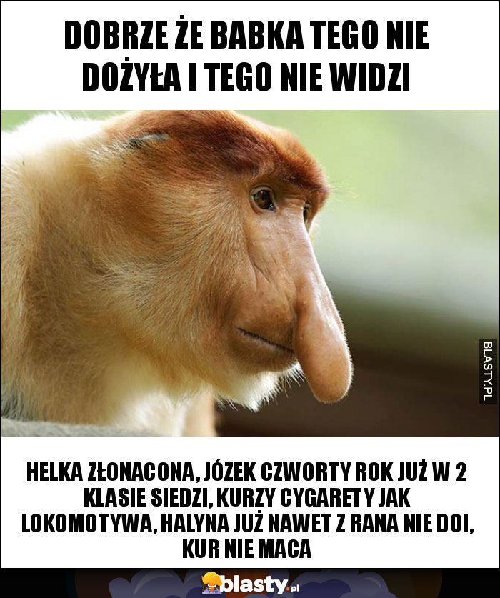 dobrze że babka tego nie dożyła i tego nie widzi