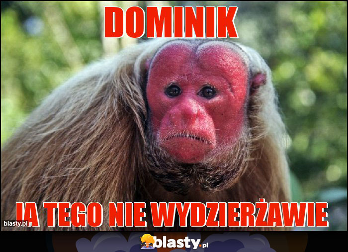 Dominik