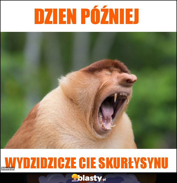 Dzien później