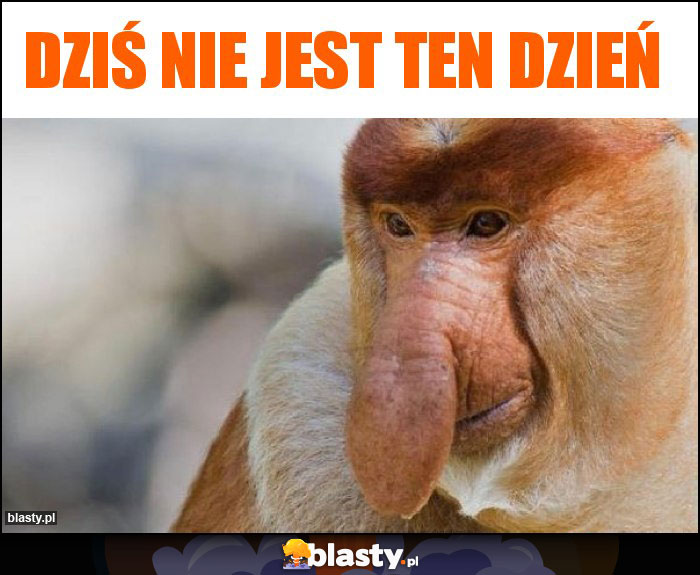 dziś nie jest ten dzień