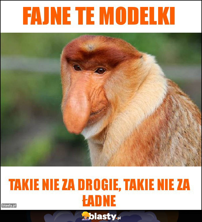 Fajne te modelki