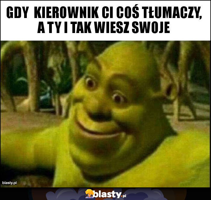 Gdy  kierownik ci coś tłumaczy, a ty i tak wiesz swoje