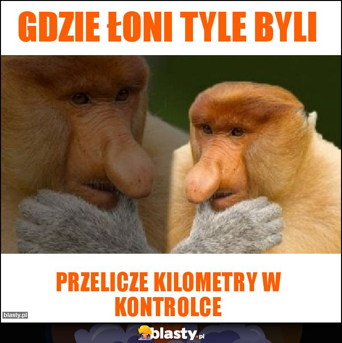 Gdzie łoni tyle byli