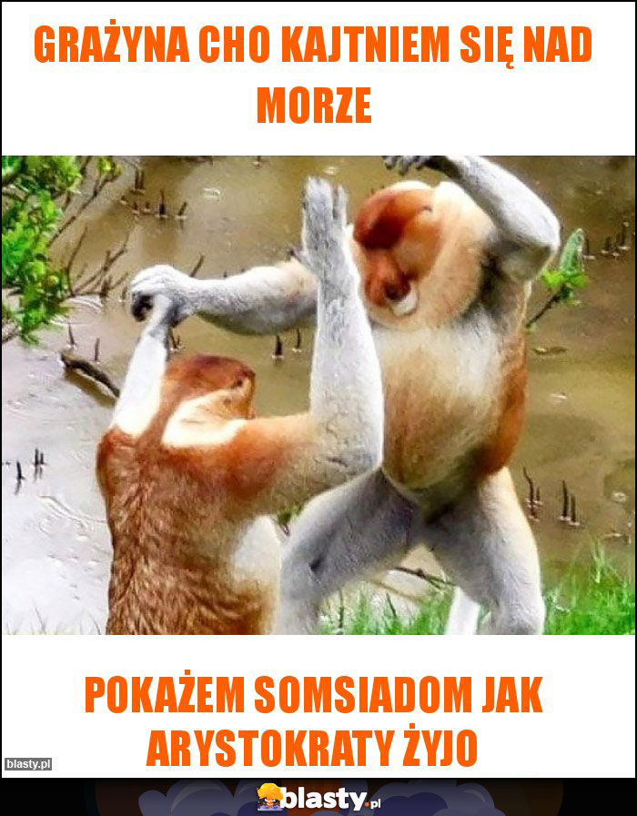 Grażyna cho kajtniem się nad morze