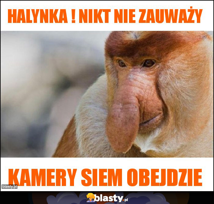 Halynka ! nikt nie zauważy