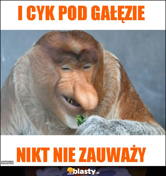 i cyk pod gałęzie