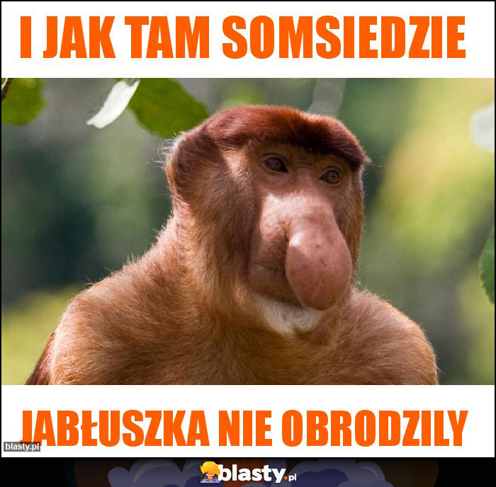 I jak tam somsiedzie