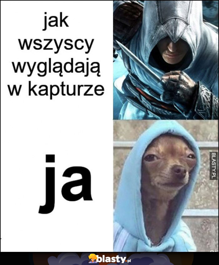 Jak wszyscy wyglądają w kapturze vs jak ja wyglądam w kapturze śmieszny piesek