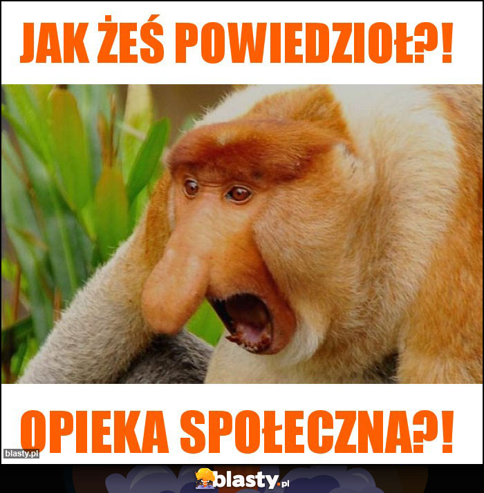 Jak żeś powiedzioł?!