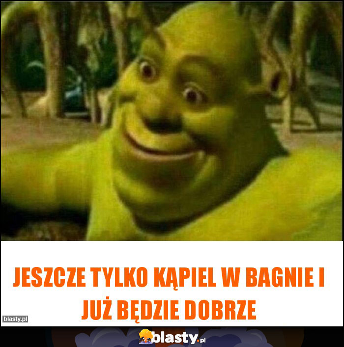 Jeszcze tylko kąpiel w bagnie i już będzie dobrze