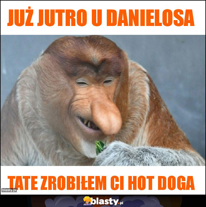 Już jutro u danielosa