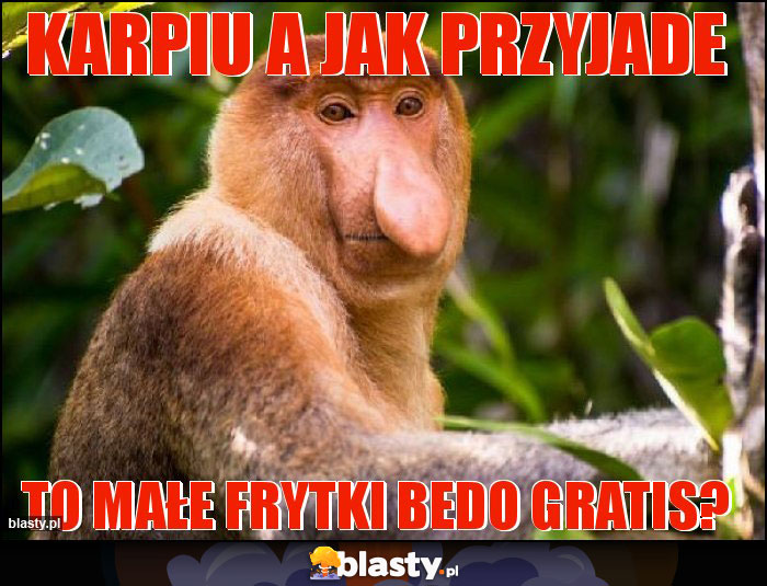 Karpiu a jak przyjade