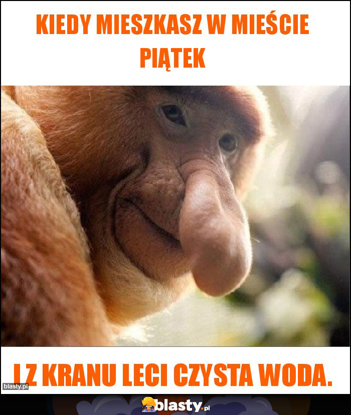 Kiedy mieszkasz w mieście Piątek