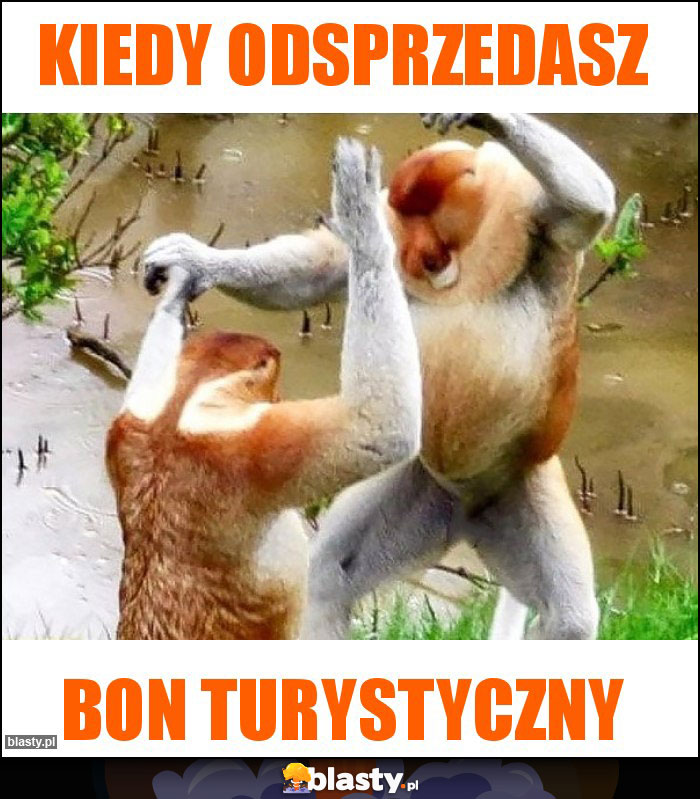 Kiedy odsprzedasz