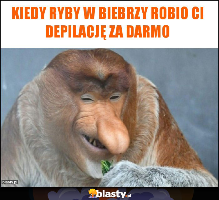 Kiedy ryby w biebrzy robio Ci depilację za darmo