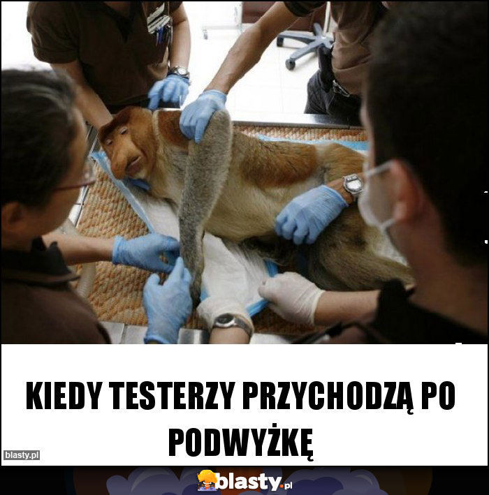 Kiedy testerzy przychodzą po podwyżkę